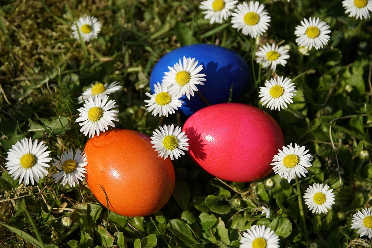 April Poze Apríl v záhrade: sadenie, presádzanie, hnojenie | Záhradkársky kalendár